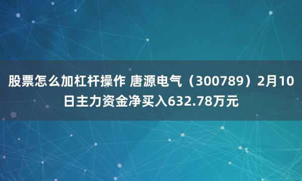 股票怎么加杠杆操作 唐源电气（300789）2月10日主力资金净买入632.78万元