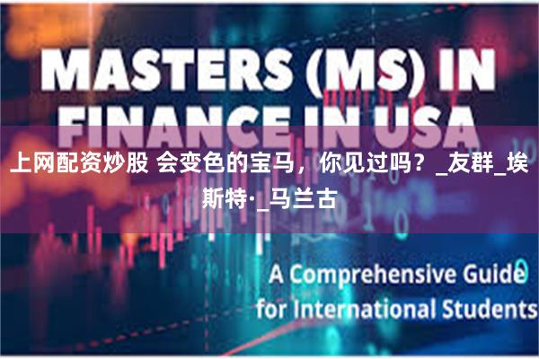 上网配资炒股 会变色的宝马，你见过吗？_友群_埃斯特·_马兰古