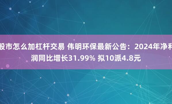 股市怎么加杠杆交易 伟明环保最新公告：2024年净利润同比增长31.99% 拟10派4.8元