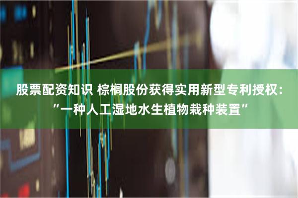 股票配资知识 棕榈股份获得实用新型专利授权：“一种人工湿地水生植物栽种装置”