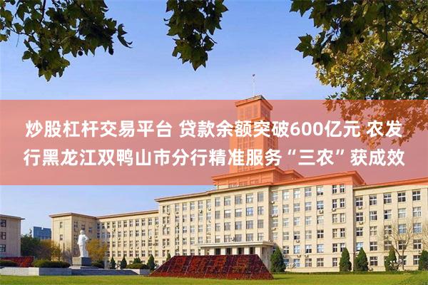 炒股杠杆交易平台 贷款余额突破600亿元 农发行黑龙江双鸭山市分行精准服务“三农”获成效