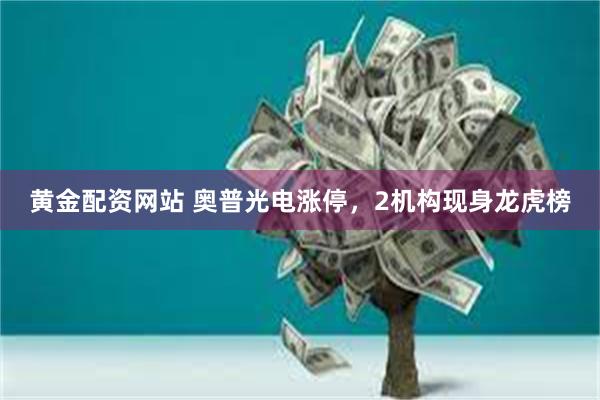 黄金配资网站 奥普光电涨停，2机构现身龙虎榜