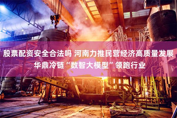 股票配资安全合法吗 河南力推民营经济高质量发展 华鼎冷链“数智大模型”领跑行业