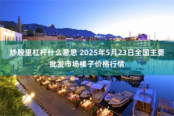 炒股里杠杆什么意思 2025年5月23日全国主要批发市场榛子价格行情
