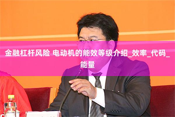 金融杠杆风险 电动机的能效等级介绍_效率_代码_能量
