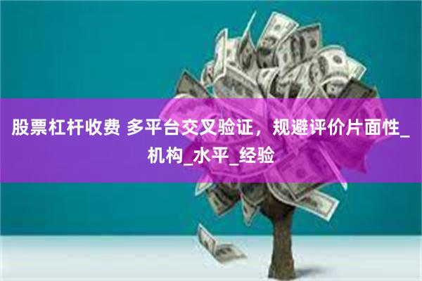 股票杠杆收费 多平台交叉验证，规避评价片面性_机构_水平_经验