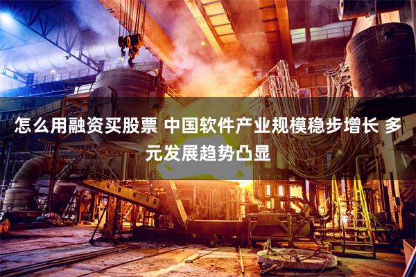 怎么用融资买股票 中国软件产业规模稳步增长 多元发展趋势凸显