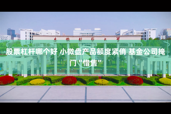 股票杠杆哪个好 小微盘产品额度紧俏 基金公司掩门“惜售”